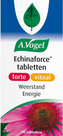 echinaforce-forte-vitaal-tabletten.jpg